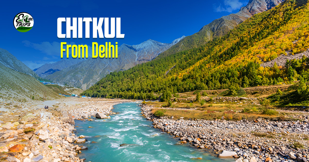 Chitkul Kinnaur Tour: A Complete Travel Guide